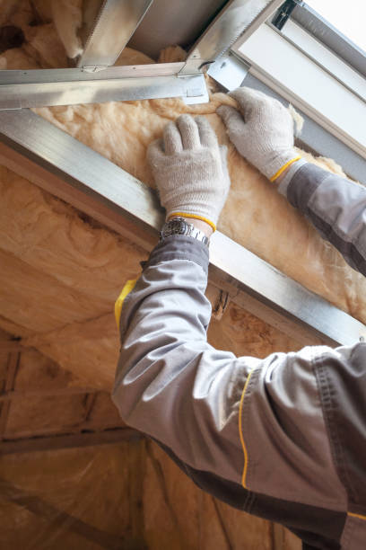 Best Insulation Maintenance and Repair in Harris Hill, NY